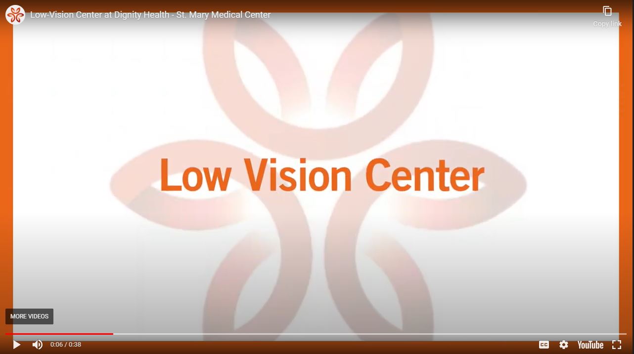 Low Vision Video