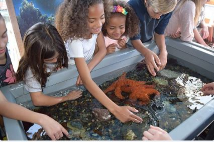 Tide pools with kids